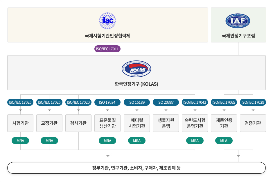 원본이미지